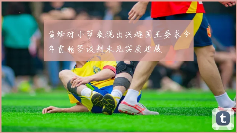 黄蜂对小萨表现出兴趣国王要求今年首轮签谈判未见实质进展