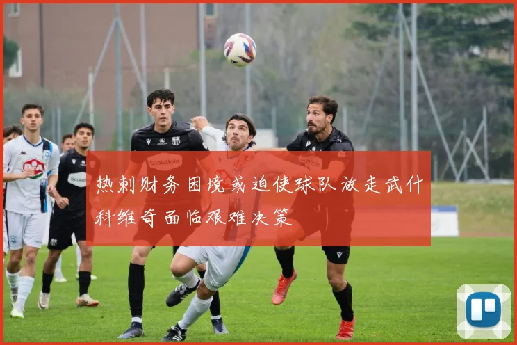 热刺财务困境或迫使球队放走武什科维奇面临艰难决策