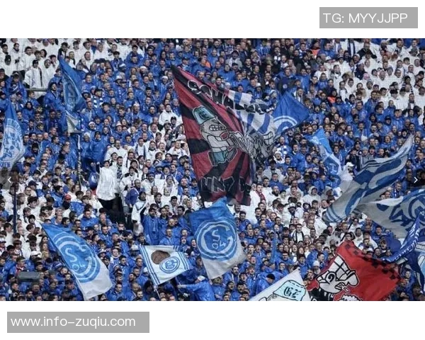 沙尔克04参与哲科争夺战巴黎FC等多队同样表现出浓厚兴趣